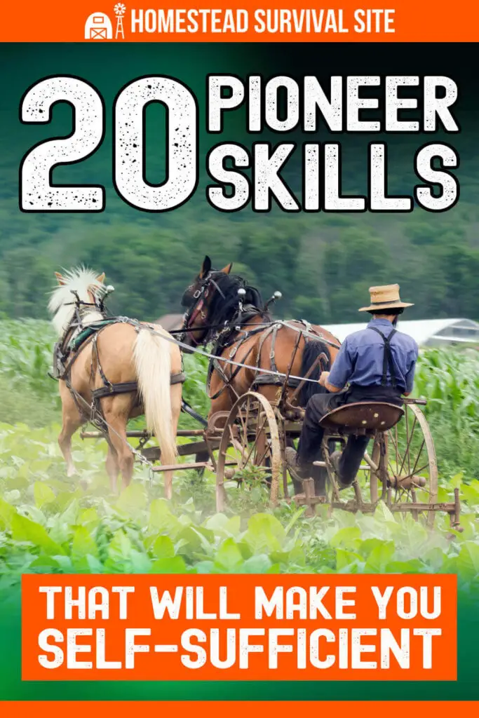 20 Pioneer Skills That Will Make You Self-Sufficient