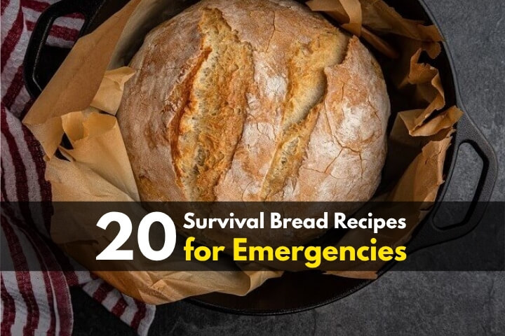 20 Survival Bread Recipes for Emergencies