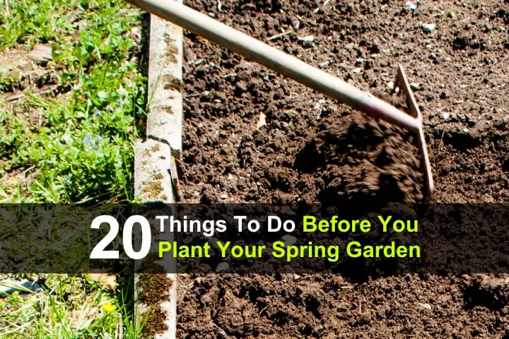 20 Things To Do Before You Plant Your Spring Garden