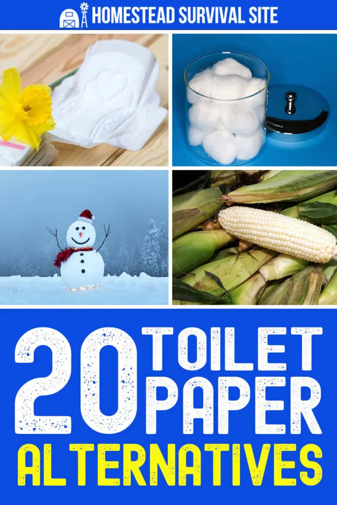 20 Toilet Paper Alternatives