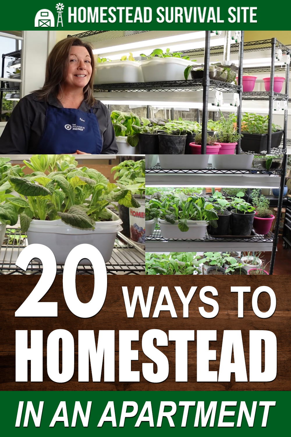 20 Ways To Homestead In An Apartment