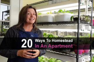 20 Ways To Homestead In An Apartment