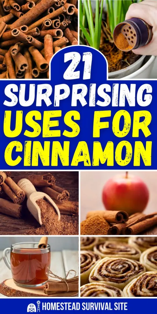 21 Surprising Uses for Cinnamon