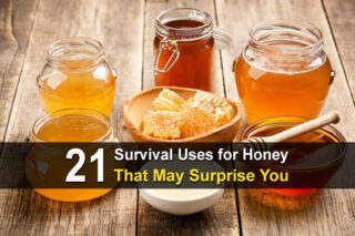 21 Survival Uses for Honey That May Surprise You