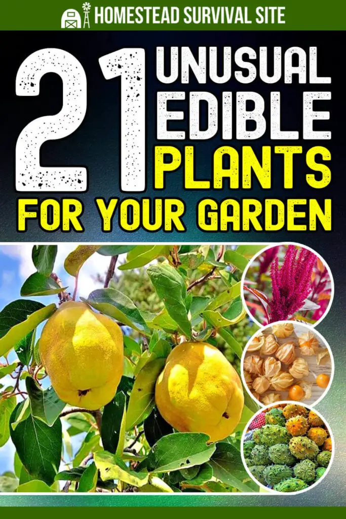 21 Unusual Edible Plants for Your Garden