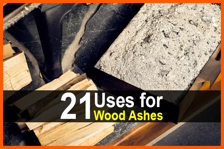 21 Uses for Wood Ashes