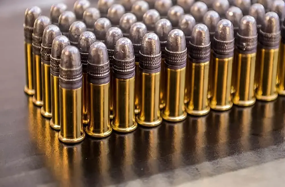 .22 Bullets