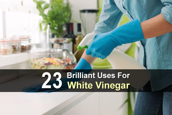 23 Brilliant Uses For White Vinegar