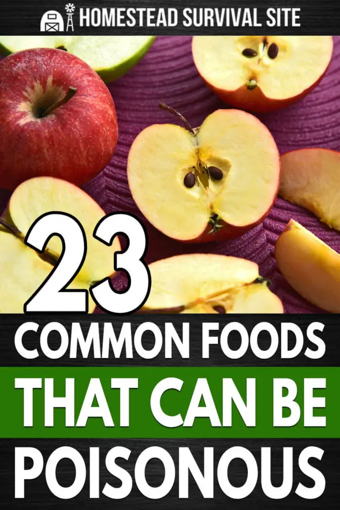 23 Common Foods That Can Be Poisonous