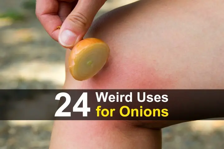 24 Weird Uses for Onions