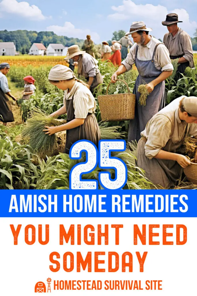 25 Amish Home Remedies You Might Need Someday