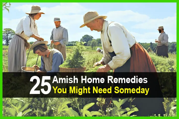 25 Amish Home Remedies You Might Need Someday
