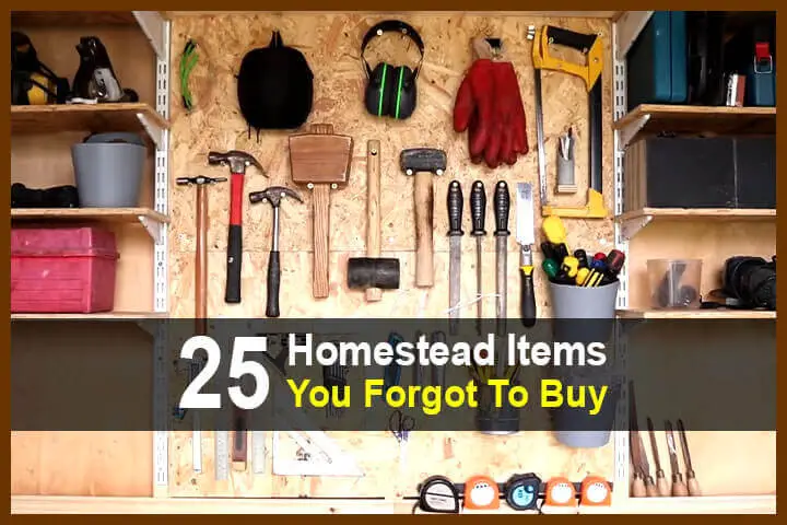 25 Homestead Items You Forgot To Buy