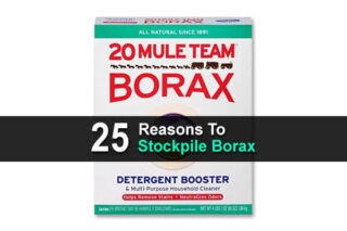 25 Reasons To Stockpile Borax