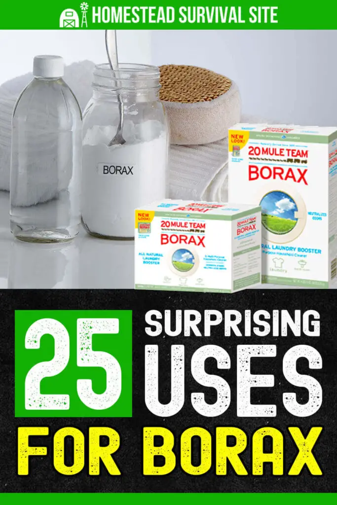 25 Surprising Uses For Borax