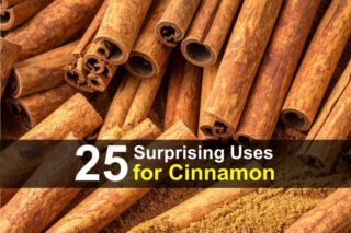 25 Surprising Uses for Cinnamon