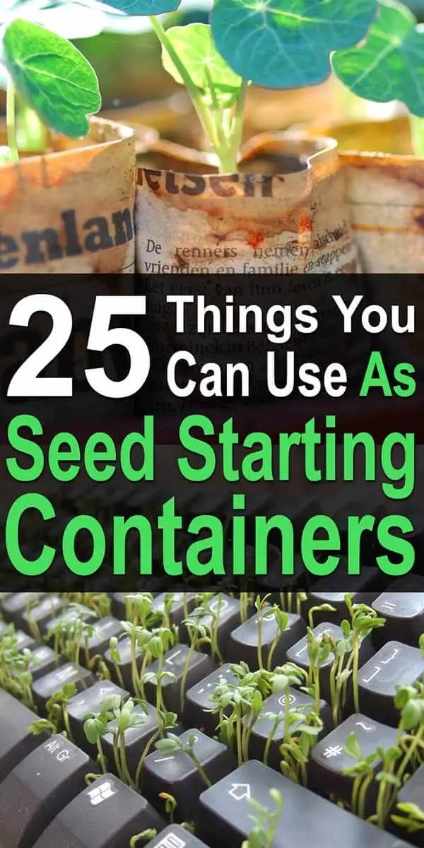 25 Things You Can Use As Seed Starting Containers