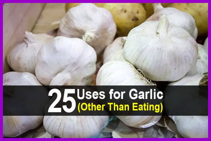 25 Uses for Garlic (Other Than Eating)