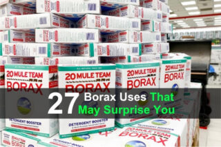 27 Borax Uses That May Surprise You