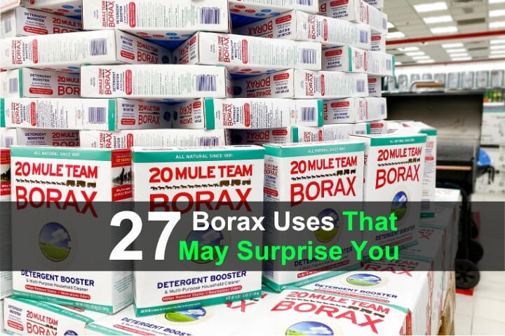 27 Borax Uses That May Surprise You