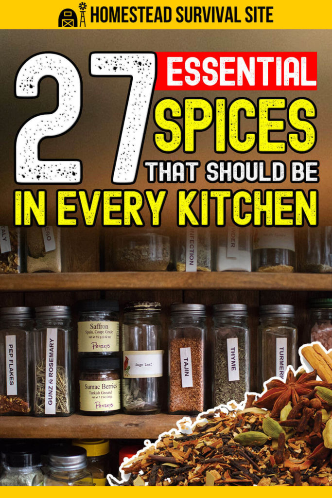 27 Essential Spices That Should Be In Every Kitchen