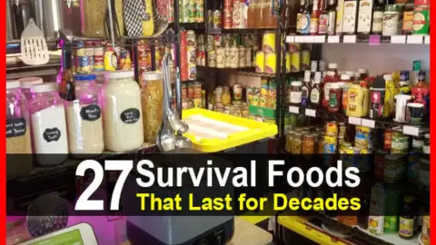 27 Survival Foods That Last For Decades