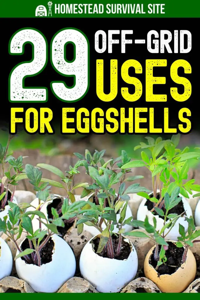 29 Off-Grid Uses for Eggshells