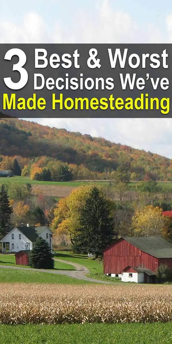 3 Best & Worst Decisions We've Made Homesteading