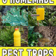 Pinterest Hidden Image