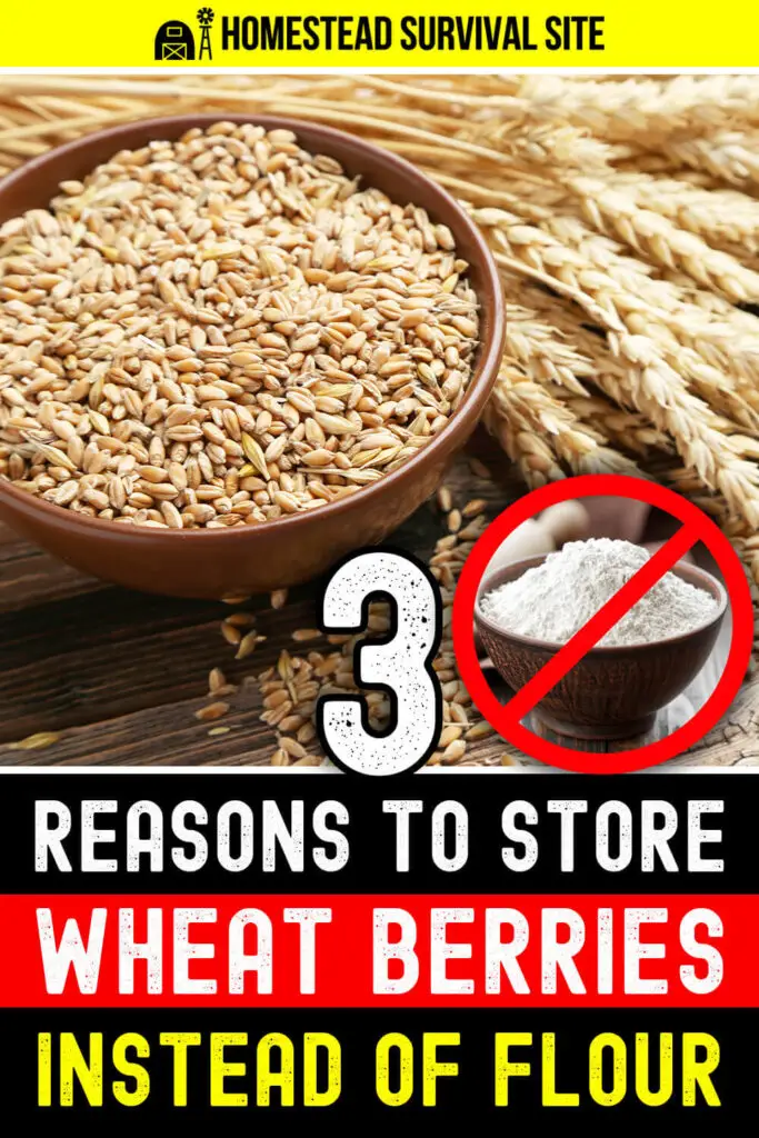 3 Reasons To Store Wheat Berries Instead Of Flour