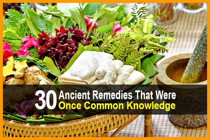 30 Ancient Remedies That Were Once Common Knowledge