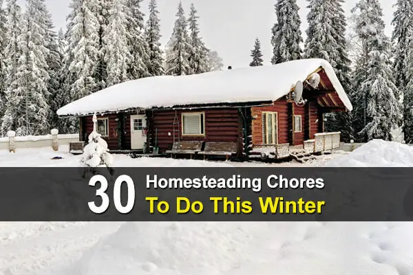 30 Homesteading Chores To Do This Winter