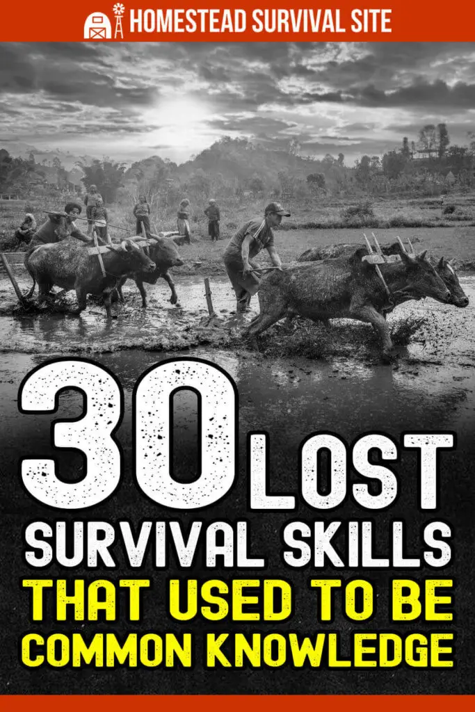 30 Lost Survival Skills That Used to Be Common Knowledge