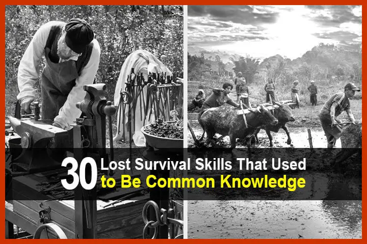 30 Lost Survival Skills That Used to Be Common Knowledge
