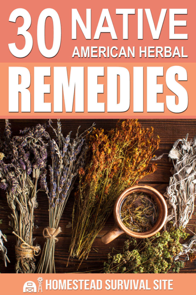 30 Native American Herbal Remedies