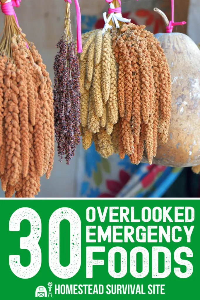 30 Overlooked Emergency Foods You Should Stockpile