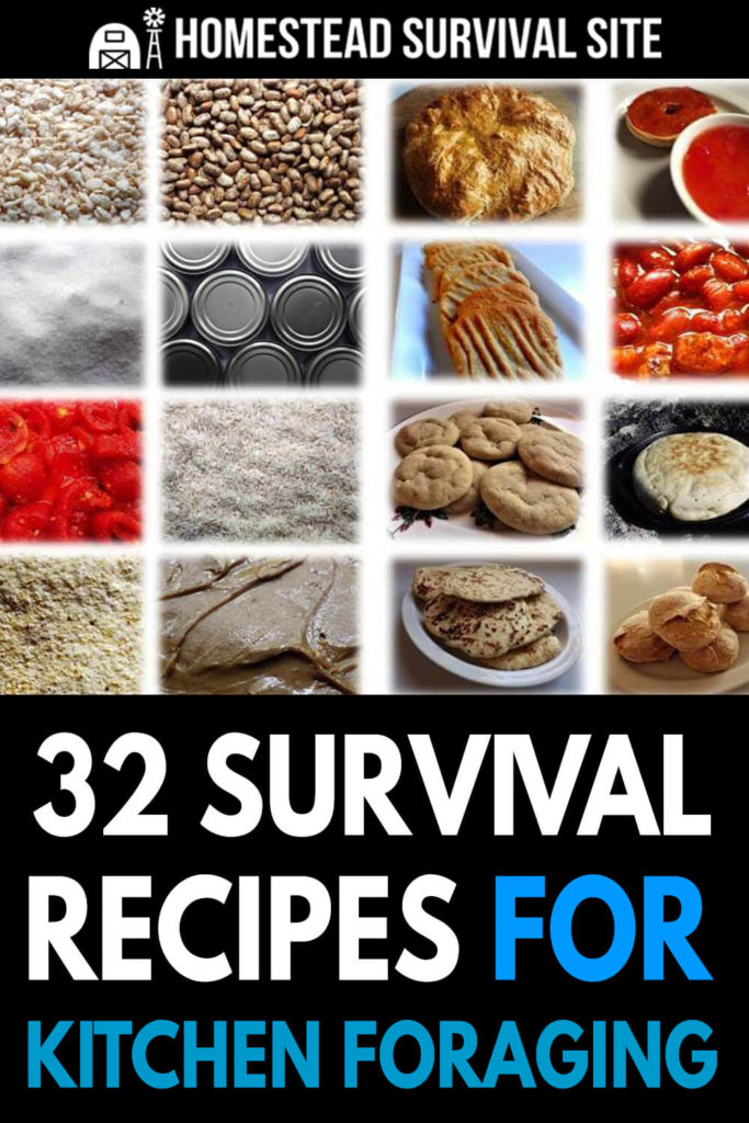32 Survival Recipes for Kitchen Foraging