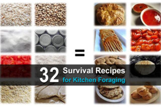 32 Survival Recipes for Kitchen Foraging