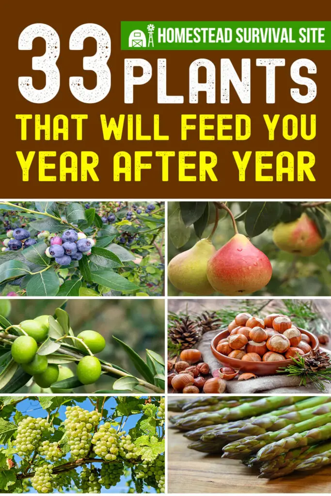 33 Plants That Will Feed You Year After Year