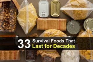 33 Survival Foods That Last For Decades