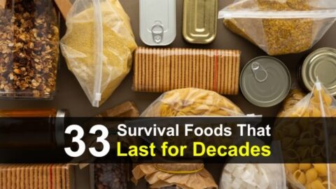33 Survival Foods That Last For Decades