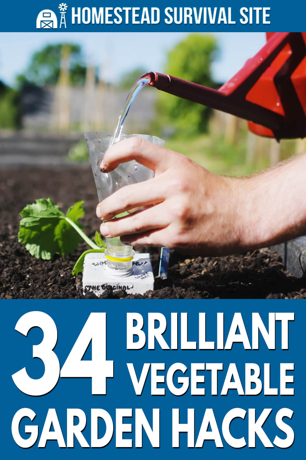 34 Brilliant Vegetable Gardening Hacks