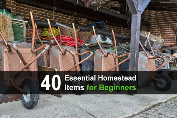 40 Essential Homestead Items for Beginners