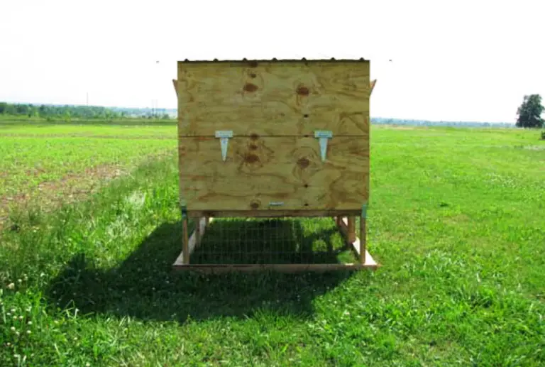 The Complete Guide to Building a Chicken Tractor