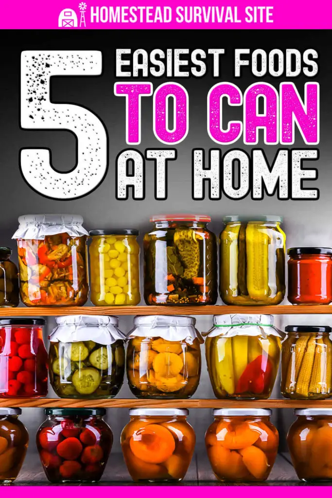 5 Easiest Foods to Can at Home