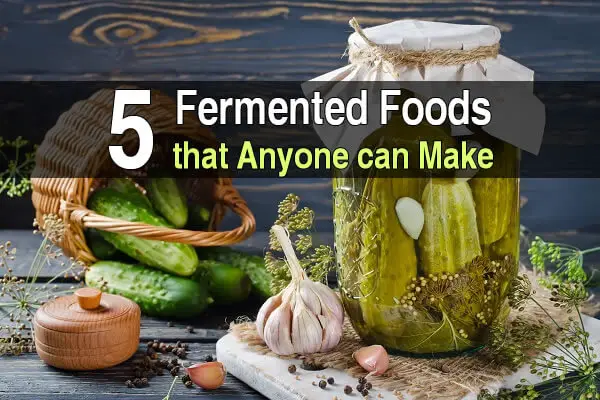 5 Fermented Foods That Anyone Can Make