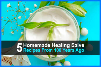 5 Homemade Healing Salve Recipes From 100 Years Ago