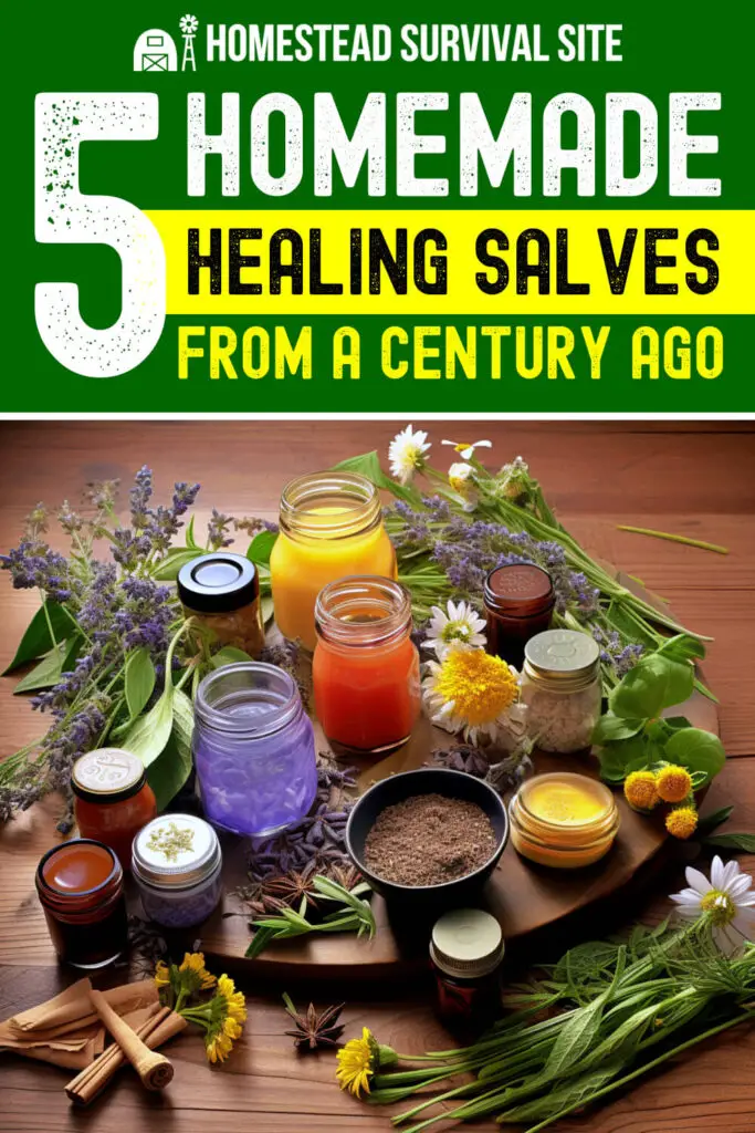 5 Homemade Healing Salves a Century Ago