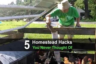 5 Homestead Hacks You Never Thought Of