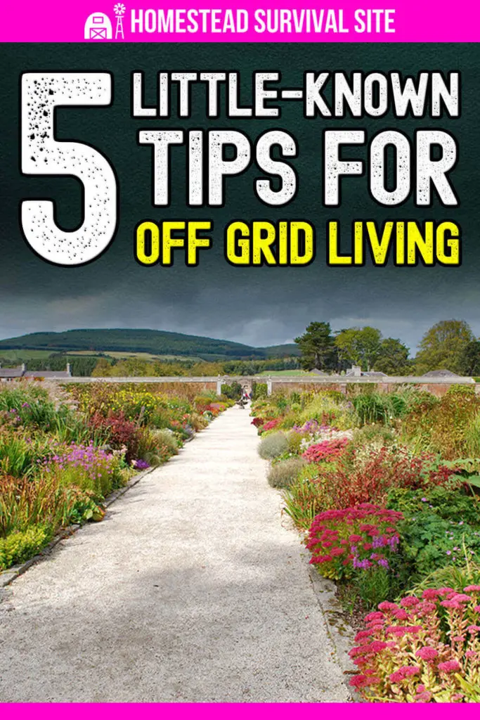 5 Little-Known Tips For Off-Grid Living